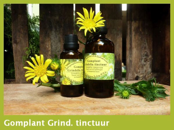 Gomplant-grindelia  tinctuur