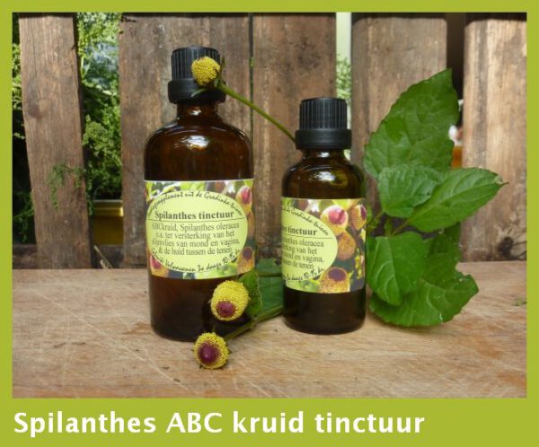 Spilanthes / ABC kruid  tinctuur