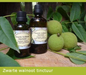 Zwarte walnoot  tinctuur
