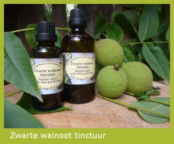 Zwarte walnoot  tinctuur